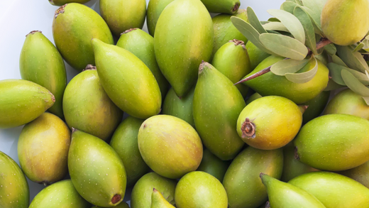 argan oil profile republica beauty